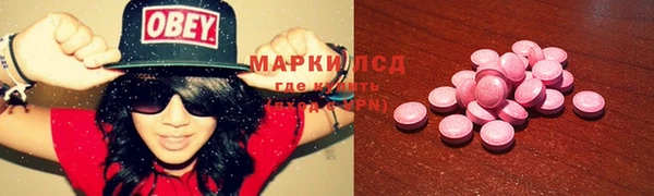СК Алзамай