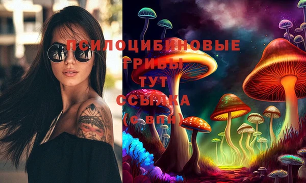 шишки Алексин