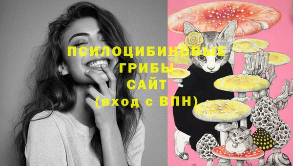 СК Алзамай