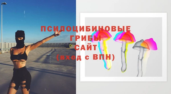spice Алексеевка