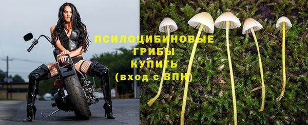 метадон Покачи