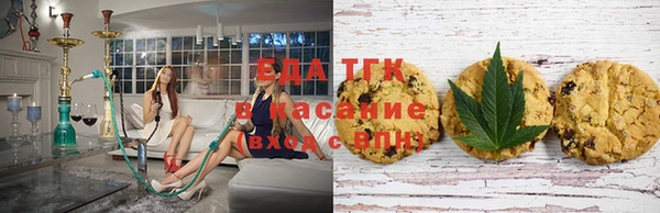 СК Алзамай
