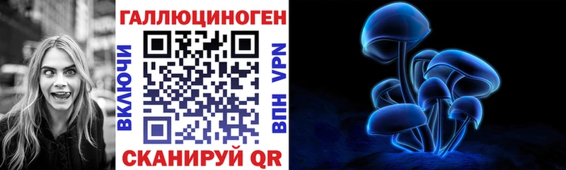 shop как зайти  Грязовец  Псилоцибиновые грибы Psilocybe 