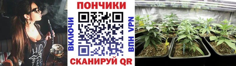 Канабис гибрид  Грязовец 
